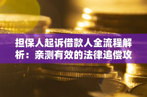 济南担保人起诉借款人全流程解析：亲测有效的法律追偿攻略