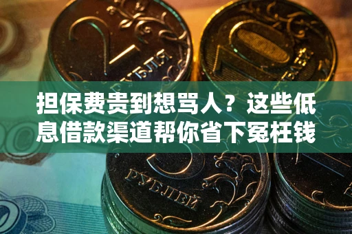 济南担保费贵到想骂人？这些低息借款渠道帮你省下冤枉钱