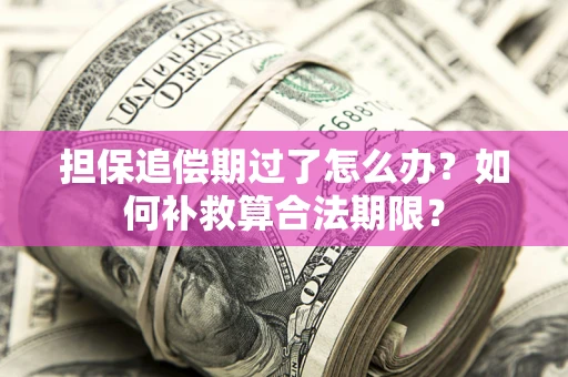 济南担保追偿期过了怎么办？如何补救算合法期限？