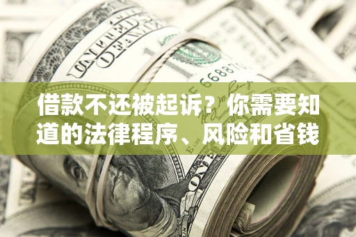 济南借款不还被起诉？你需要知道的法律程序、风险和省钱技巧
